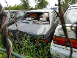 Illustration for article titled Have you ever owned a car that was worth more dead than alive?